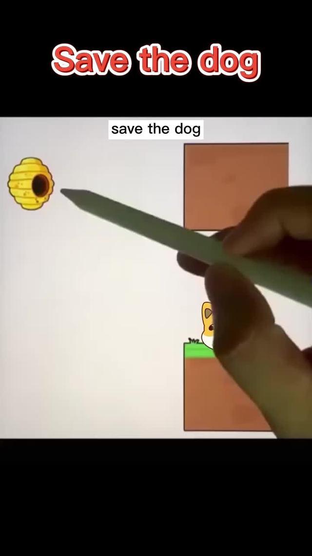 Doge is in danger! help him!