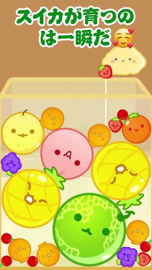 最終目標は合体して大きなスイカになることです!