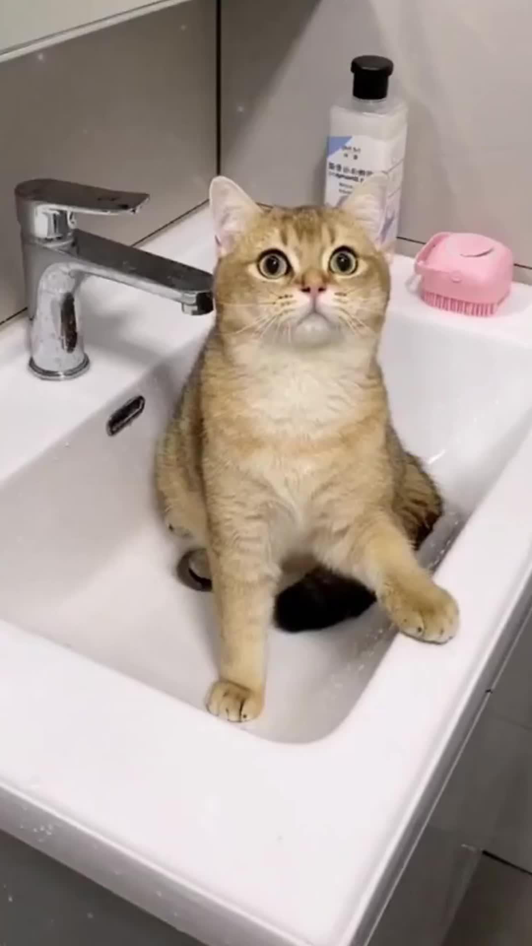 UP TO 68% OFF! DON‘T MISS OUT OUR BIG SALE!