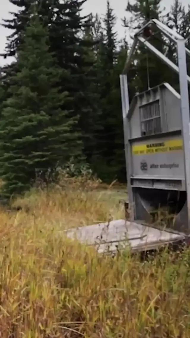 Animal empire awaits you!