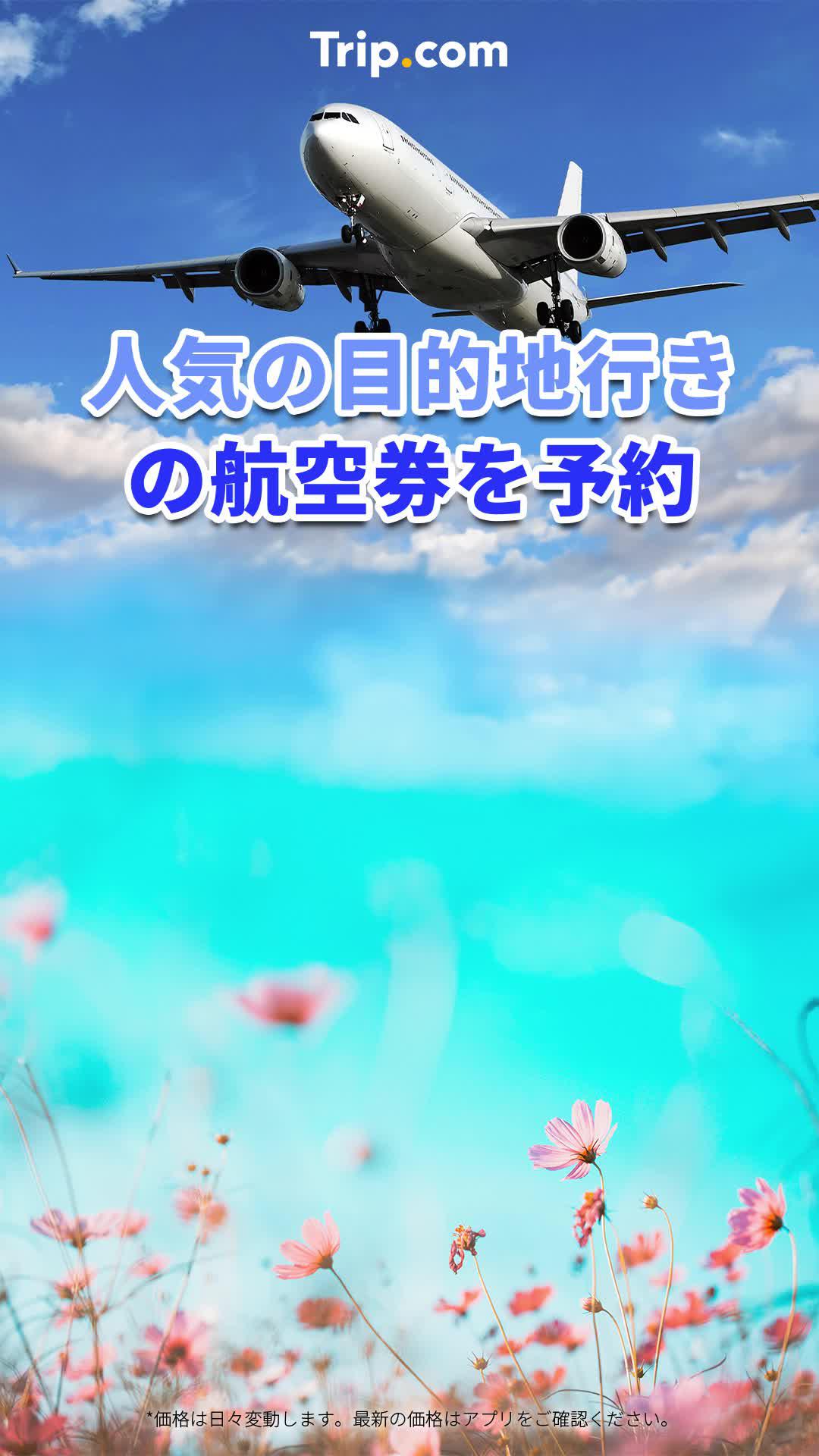 航空券をお得にゲット！