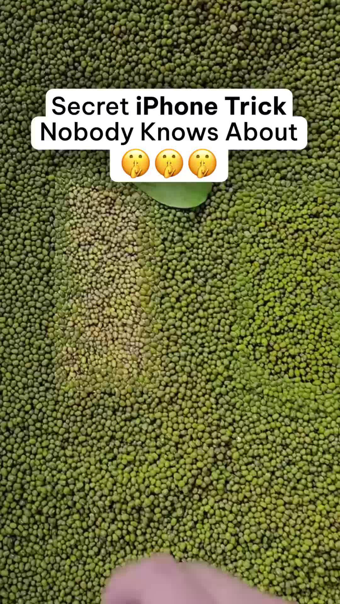 Free up storage with Cleanup app in seconds.