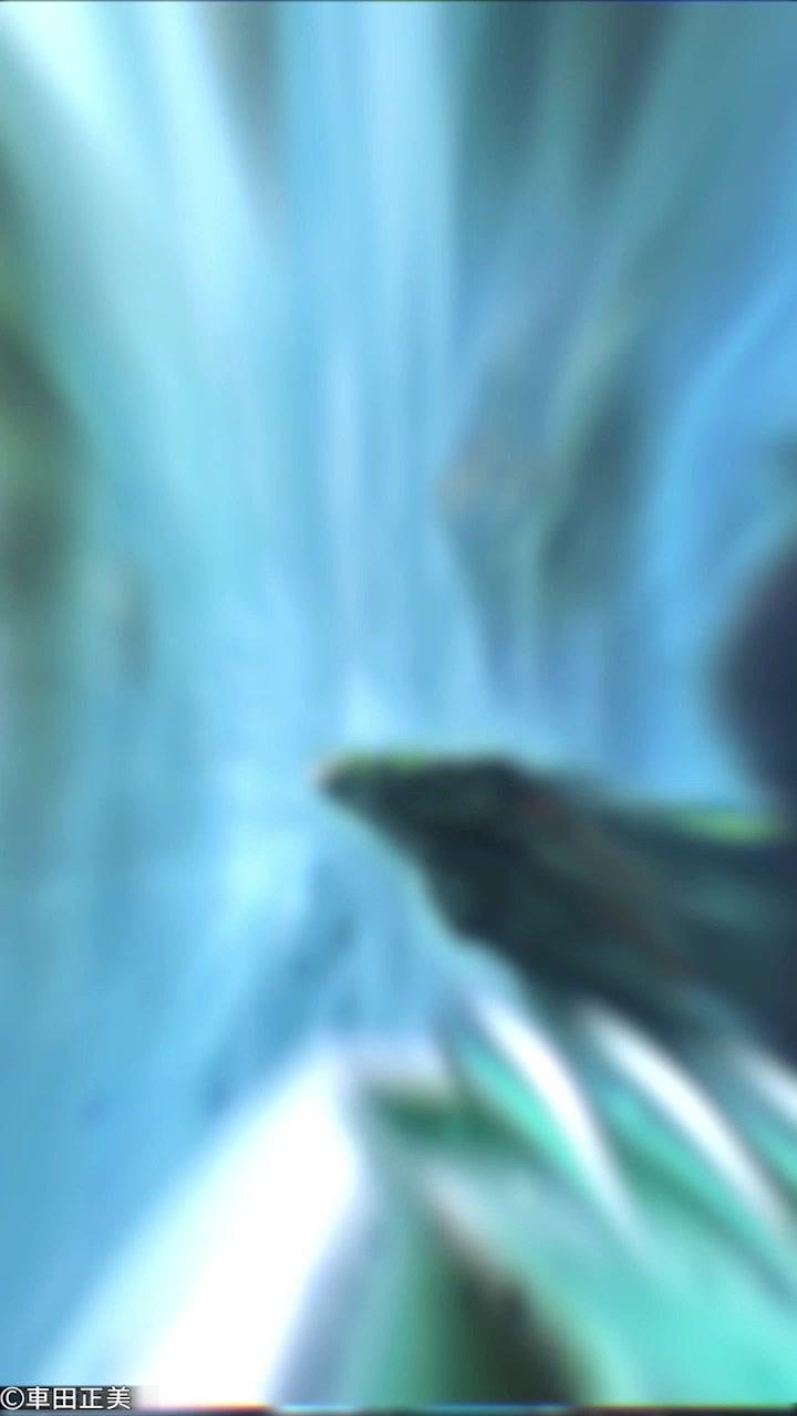 星座の導きで、運命の聖闘士をみつけよう