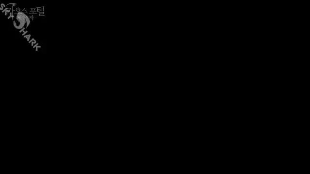 MMO <카오스 포털> GRAND OPEN! 쿠폰 코드: chaos/ jang777/ ssr8255