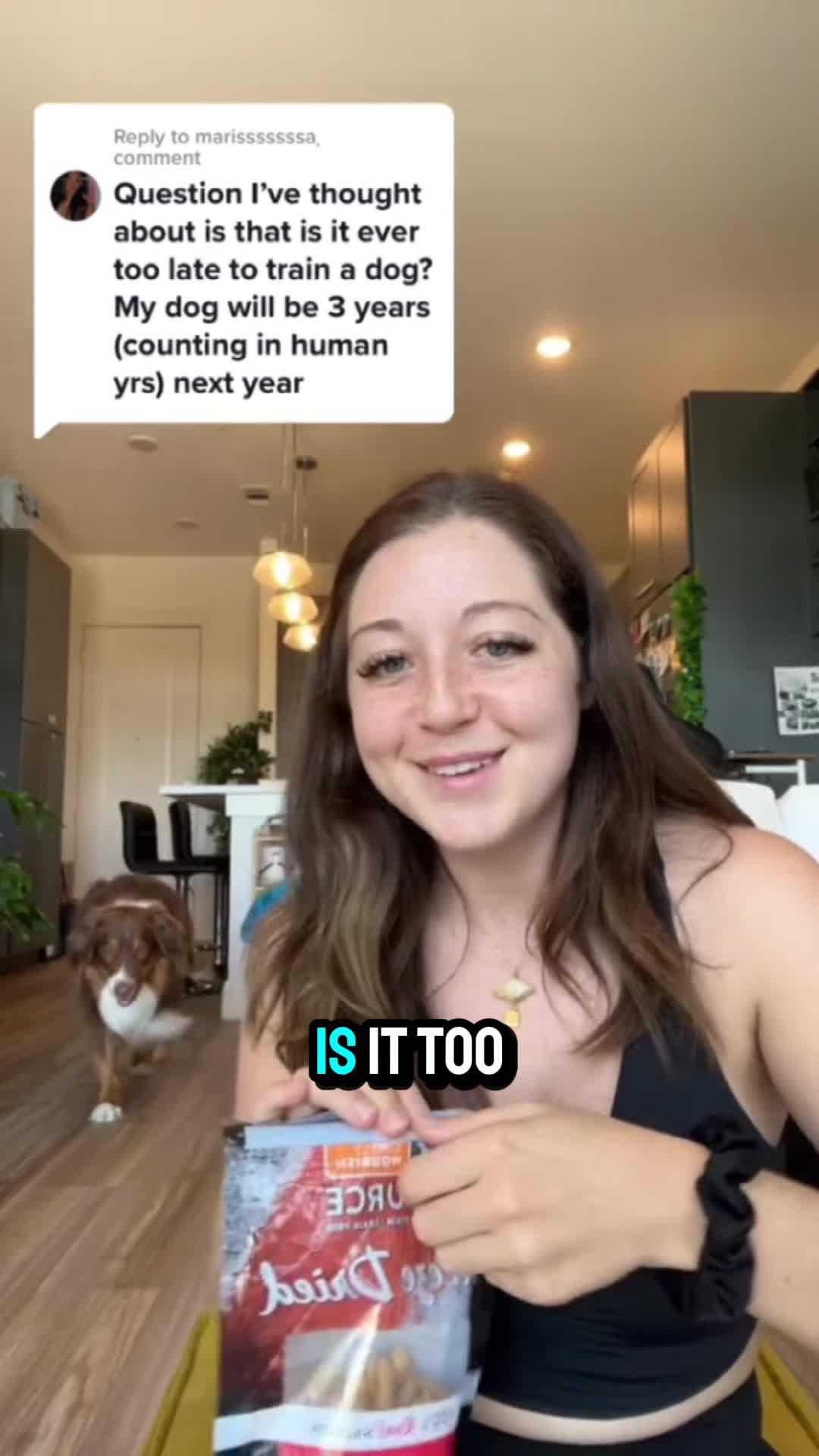 Elevate Your Pup's Skills with Woofz!