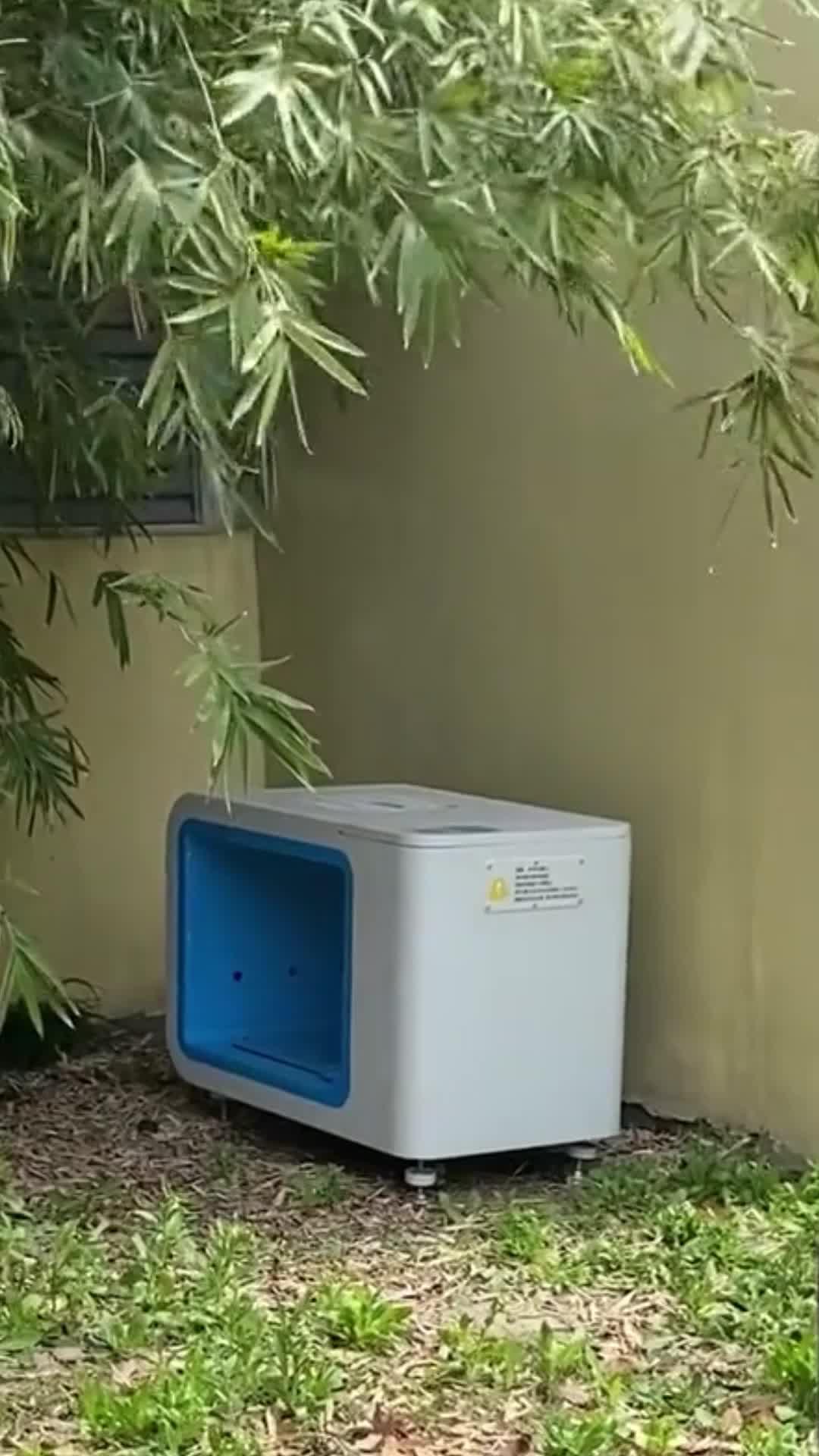 Purrrr -feed&rescue stray cats: Online Feeding Entertainment