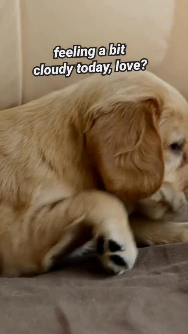 what's blue...? a new toxic-free, best-listeners-ever community. join us <3