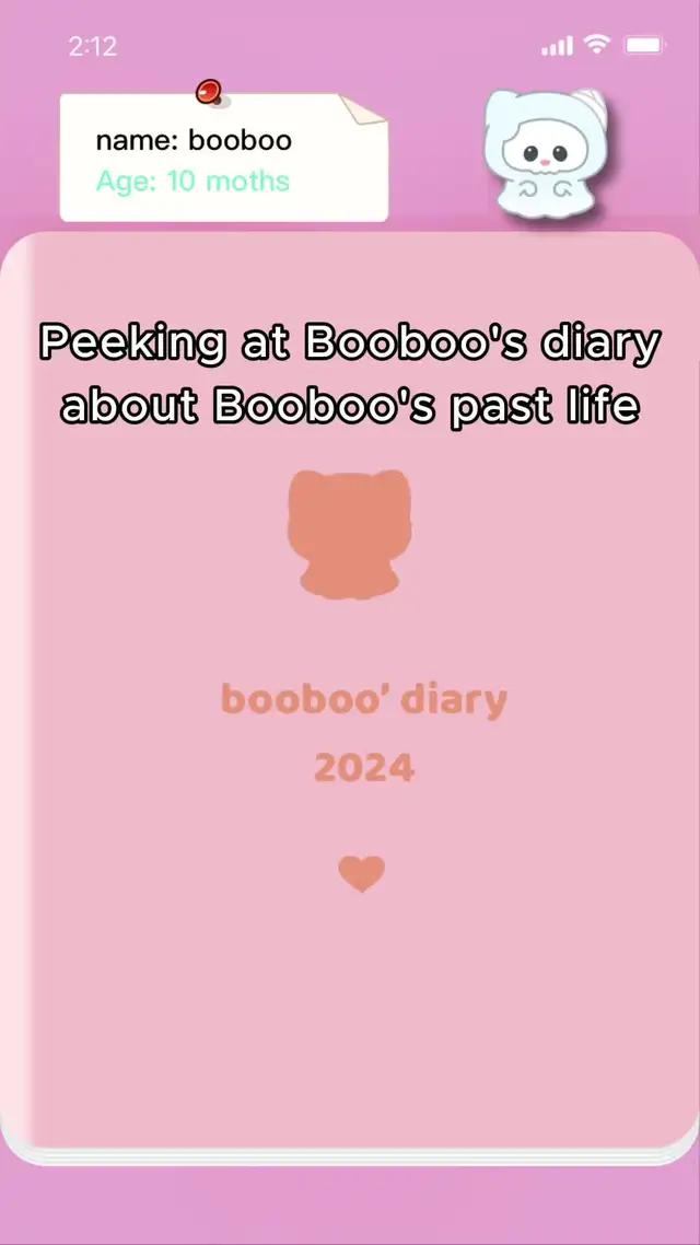 Peeking at Booboo's diaryabout Booboo's past life