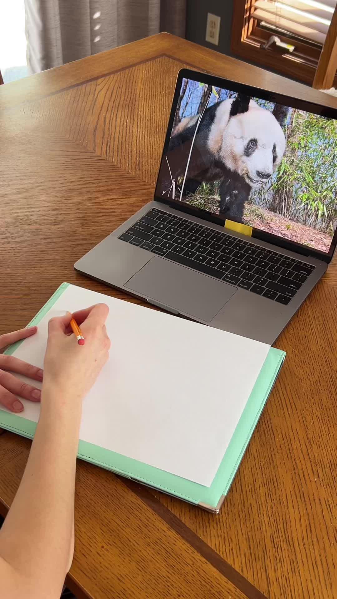 Learning To Draw The Smart Way