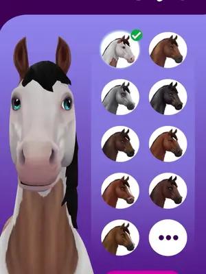 The Biggest Horse Game Online