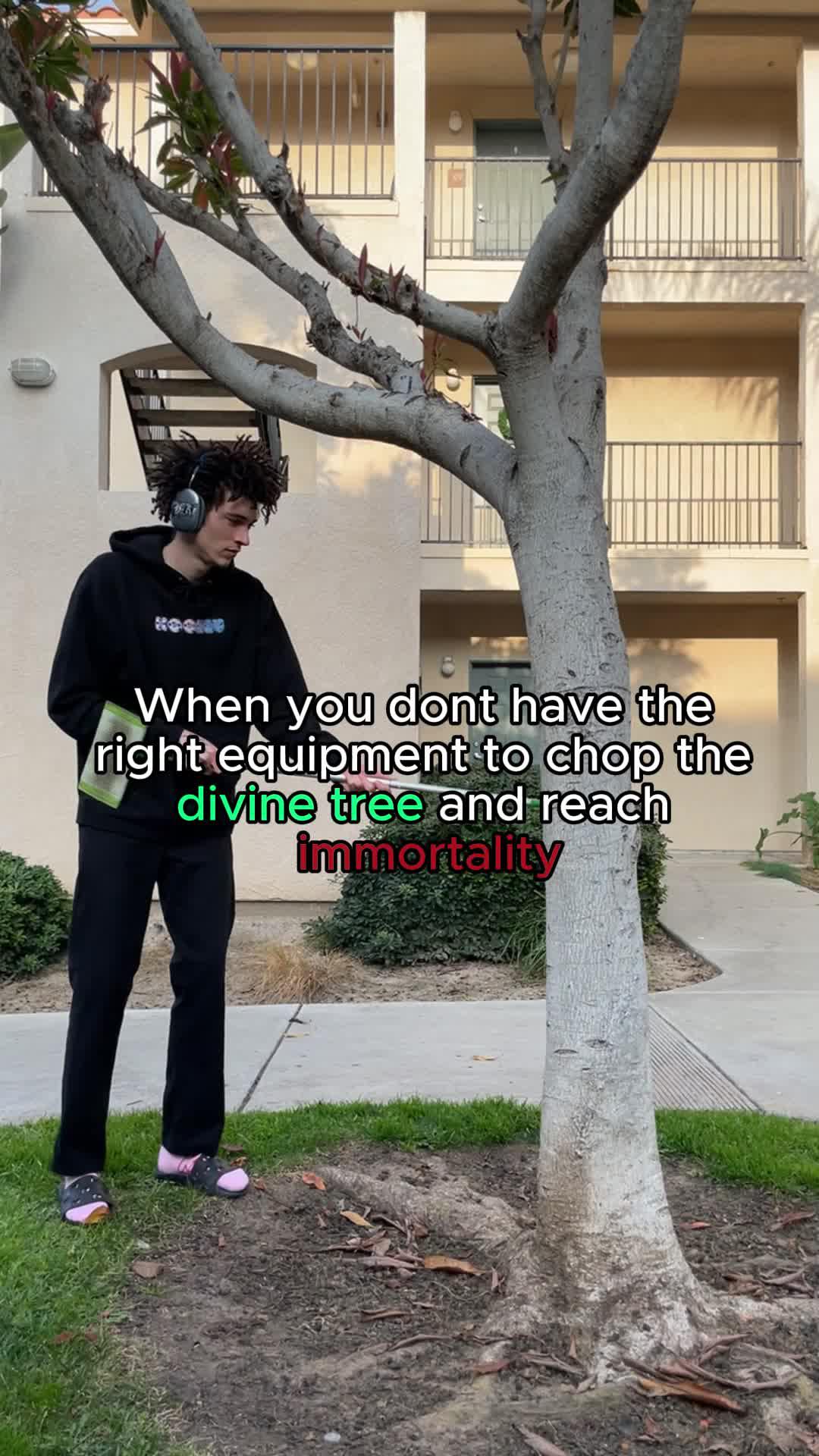 Chop Trees & Upgrade!