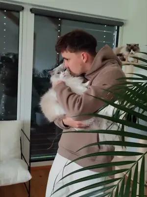 Make trendy videos and go viral!