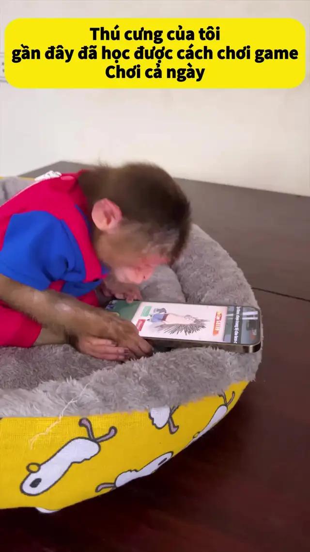 Chỉ chỉ ngón tay, sửa thành tăng tăng tăng Treo máy rơi Thần Trang, các anh em làm ván chứ?