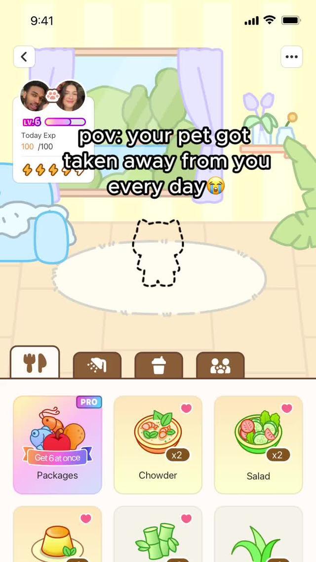 Co parent a pet with your friends