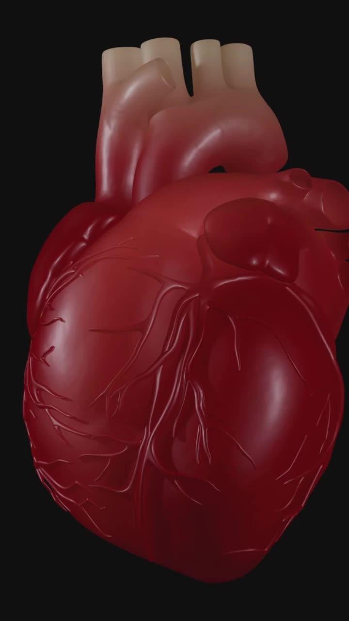 Easily check your heart rate with Heart Rate!