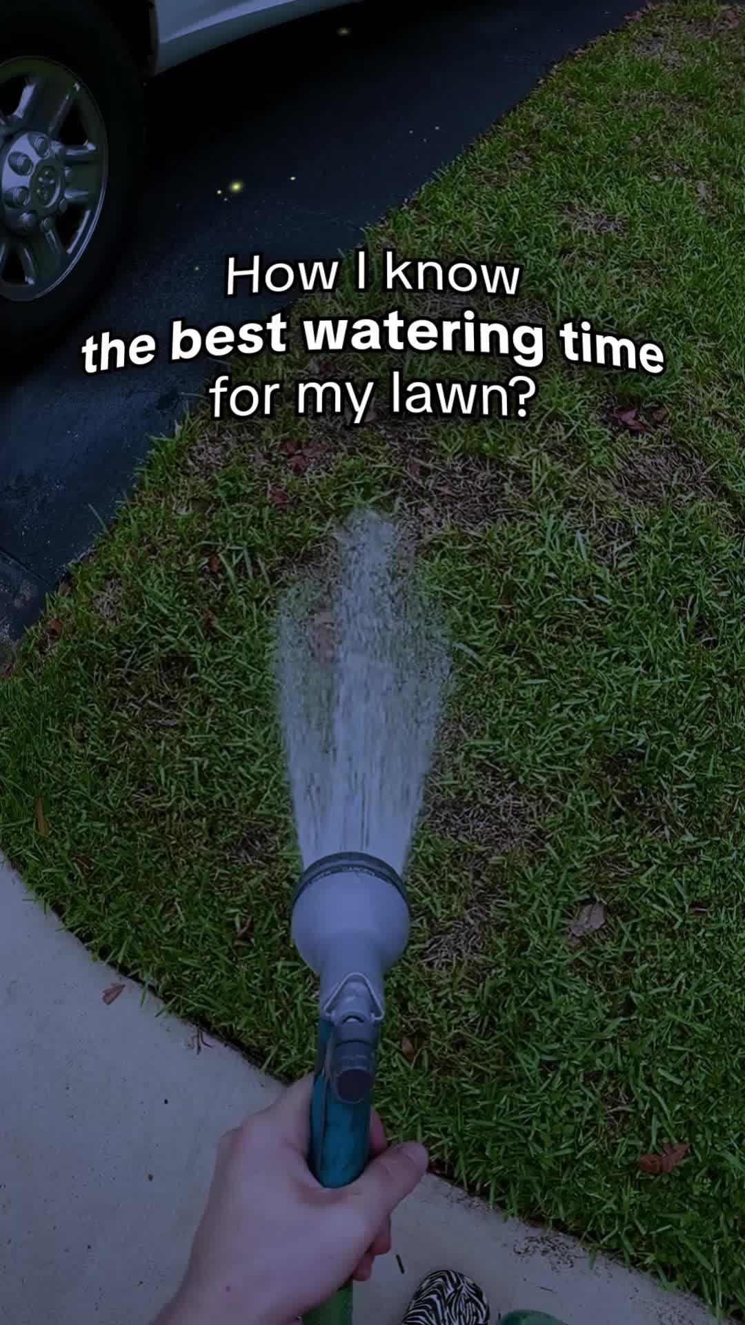 Save your lawn easily!