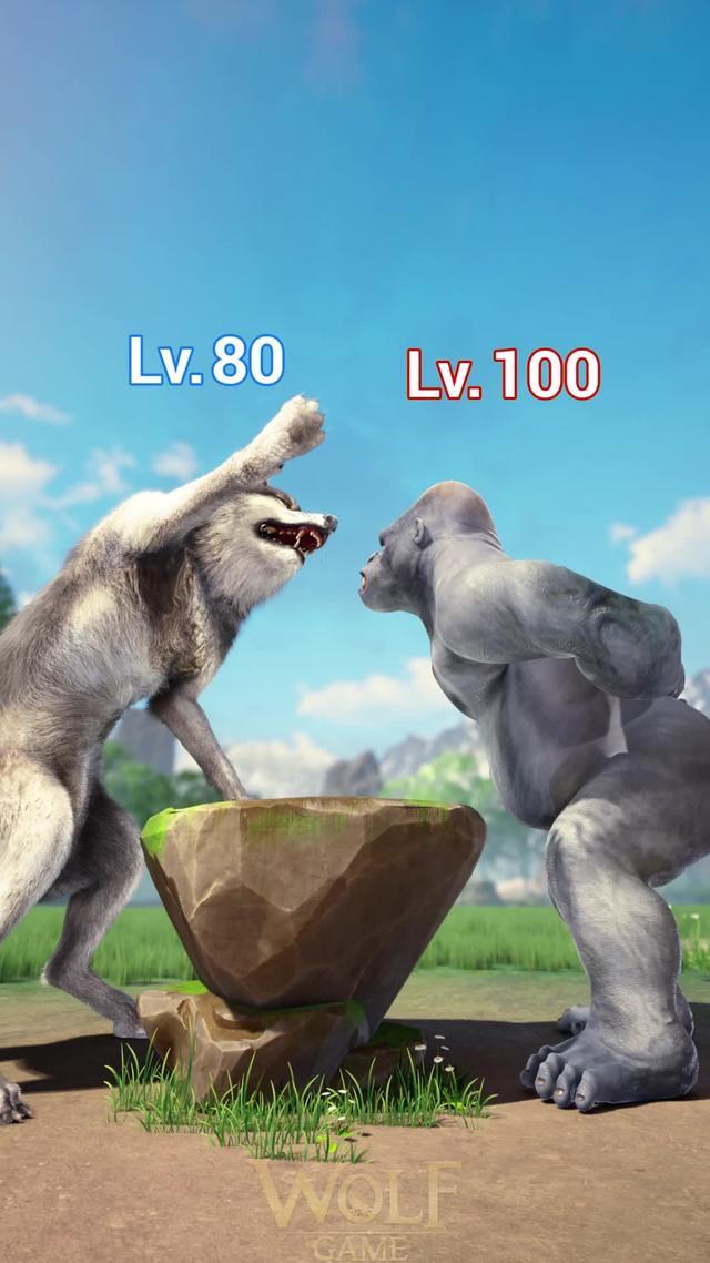 【WOLFREWARD777】Get 100 Free draws now！