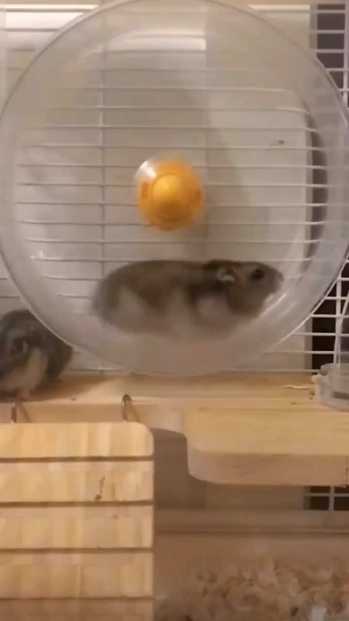 デパートのカスタマイズを自由に