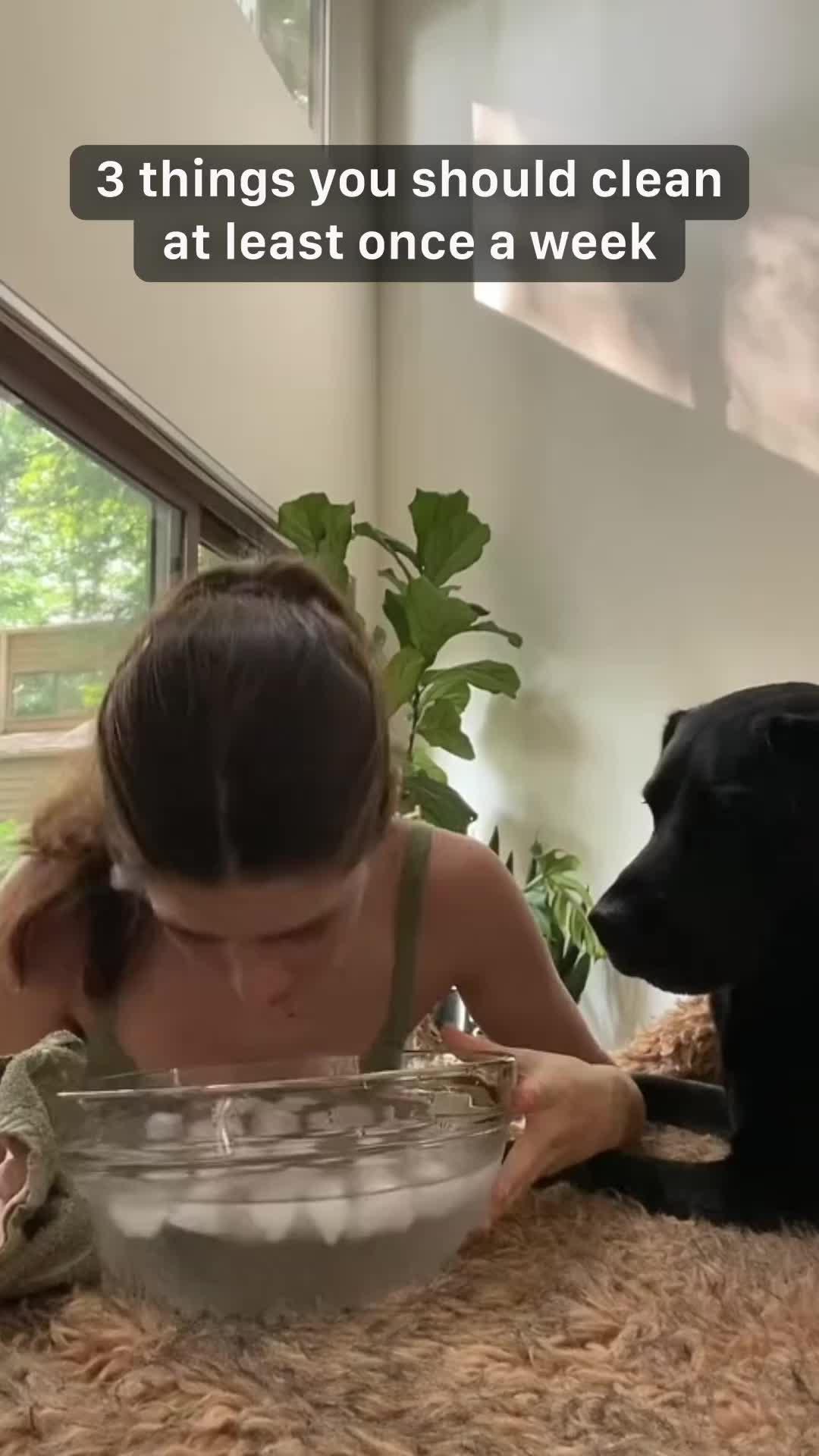 Stay Organized and Achieve More with Mindway!