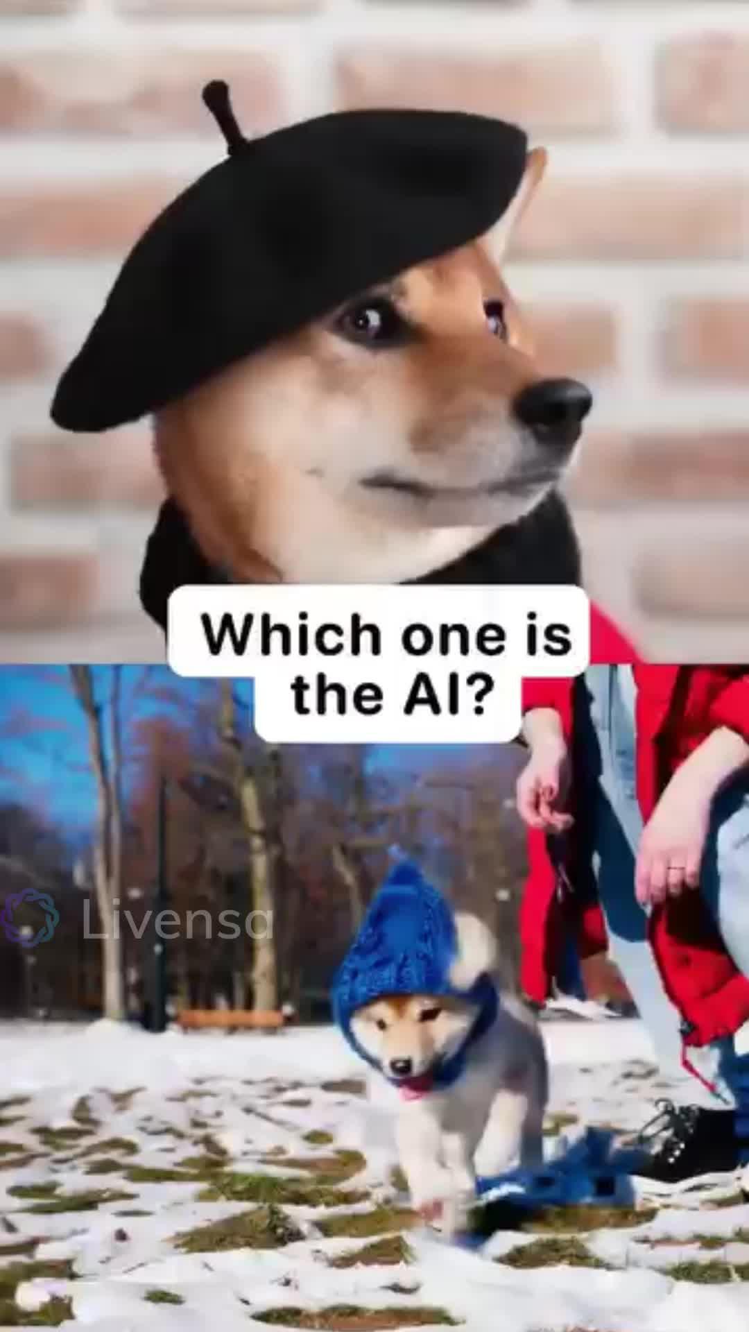 Create Al videos with your own words on mobile