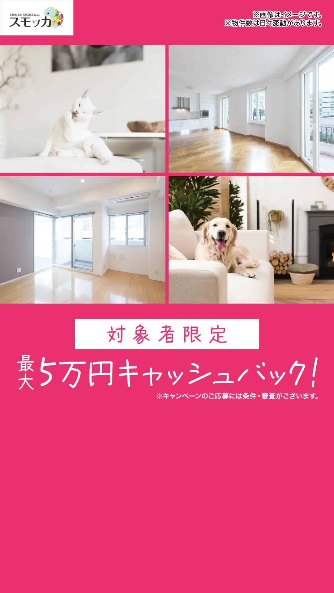 対象者全員に最大5万円キャッシュバック！