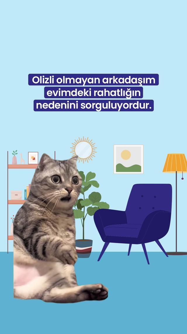 Henüz Olizli olmanın rahatına varmayanları şaşırtacak fırsatlar Oliz’de! Oliz’in fırsat dolu dünyasına gelsene! #Oliz #OlizileRahatınEvinde #funny #memes #cute #tiktoklover #fyp #cat