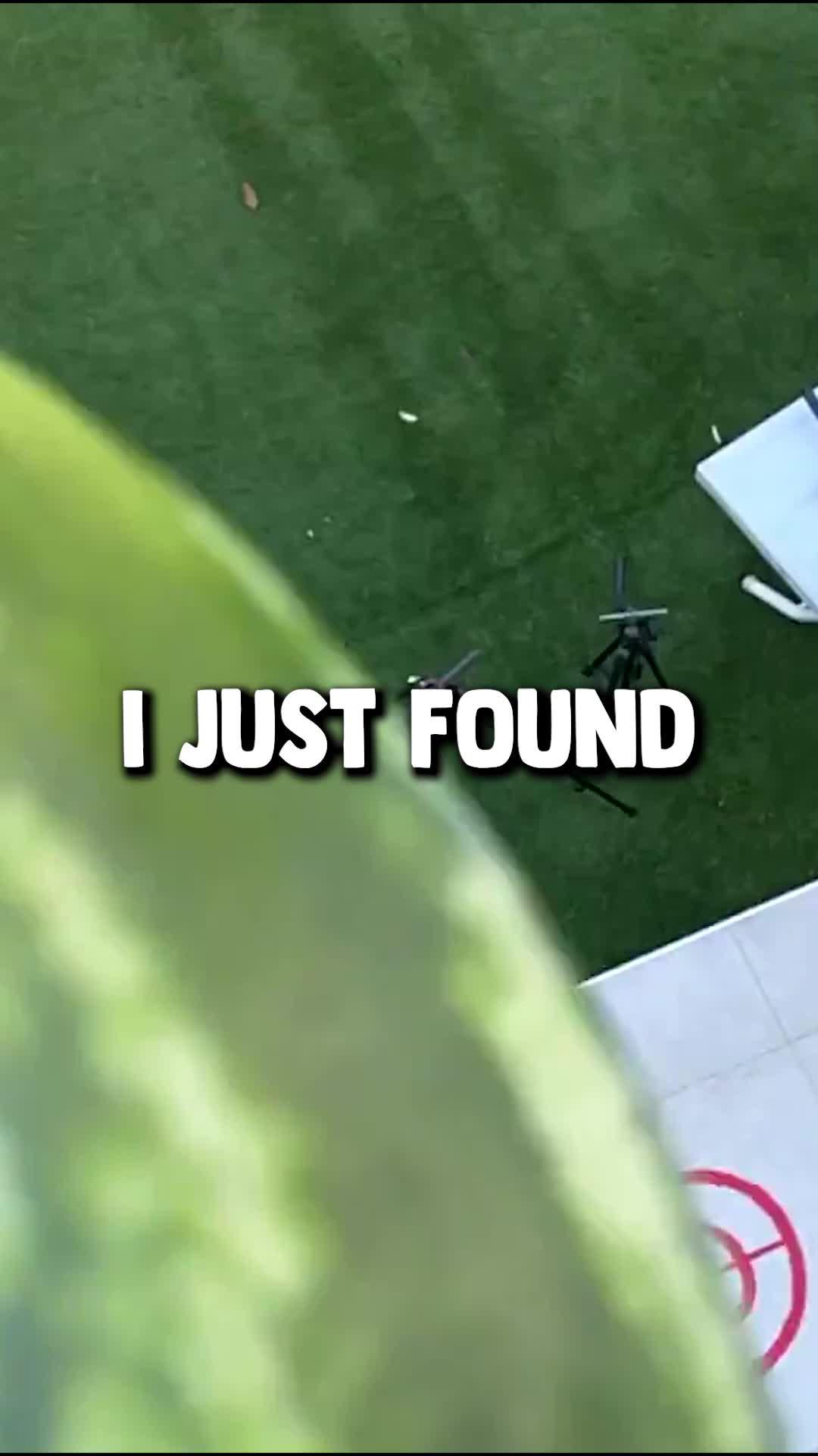 Can you reach the watermelon?