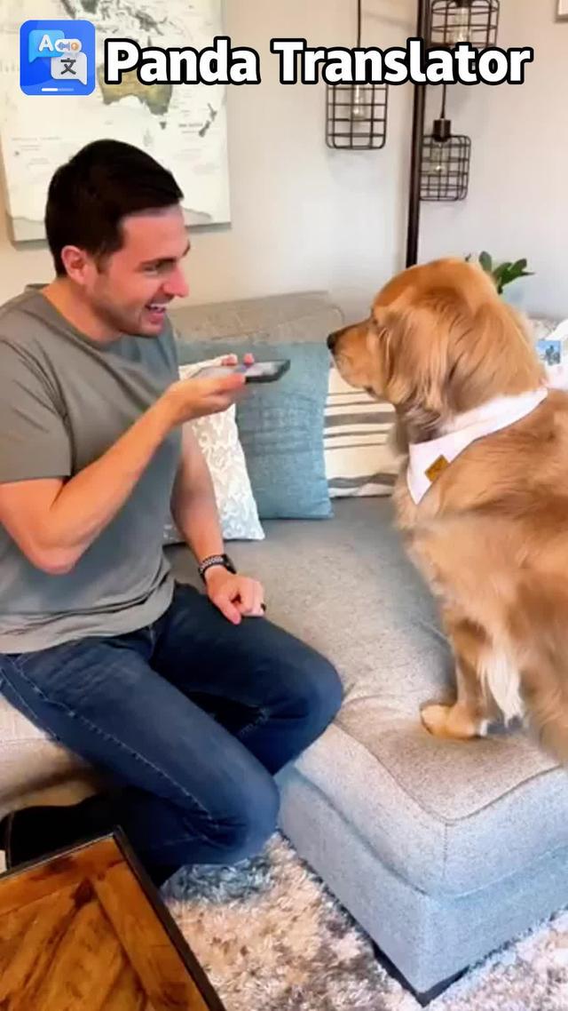 Translator - Voice, Text, PDF