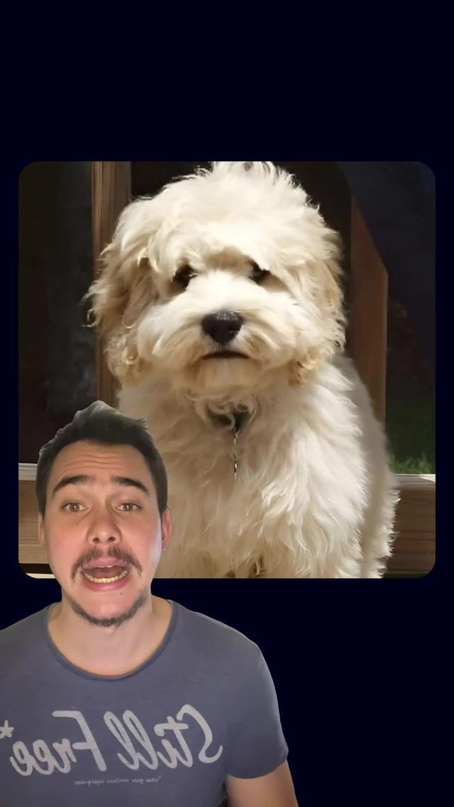 Make Any Image Move and Sing. Bring Images to Life