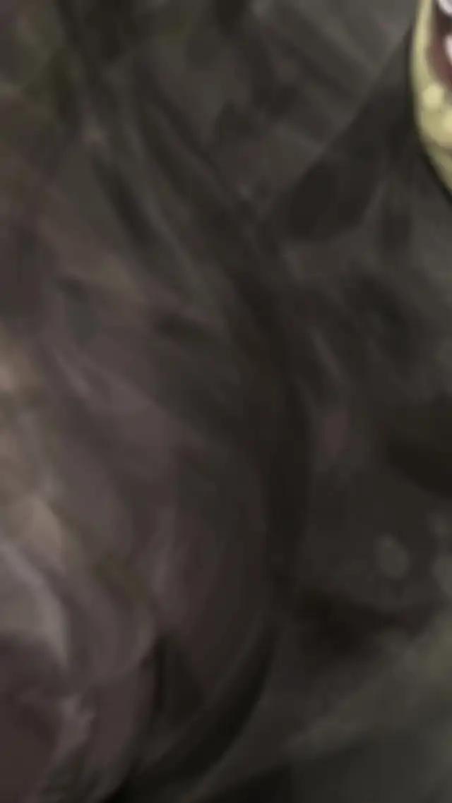 【超大迫力ARゲーム】絶滅動物を発掘、育成、大会、強化とやりこみ要素満載！