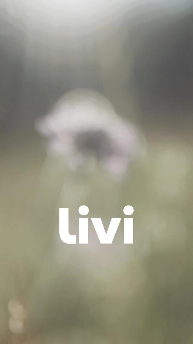 Prêt pour un été sans tracas ?