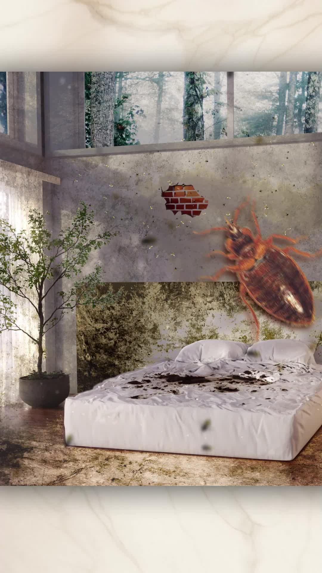 “This game is so relaxing! I love it!”