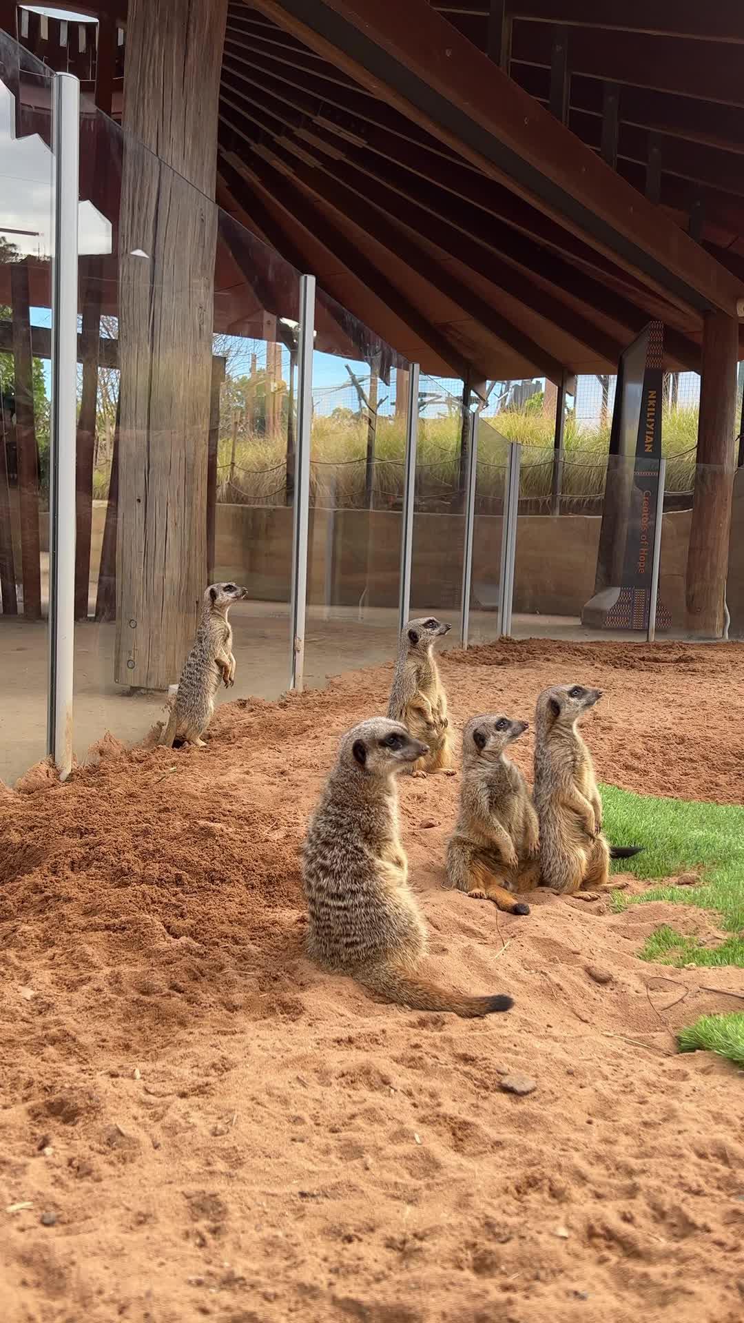 Book Now on Traveloka!