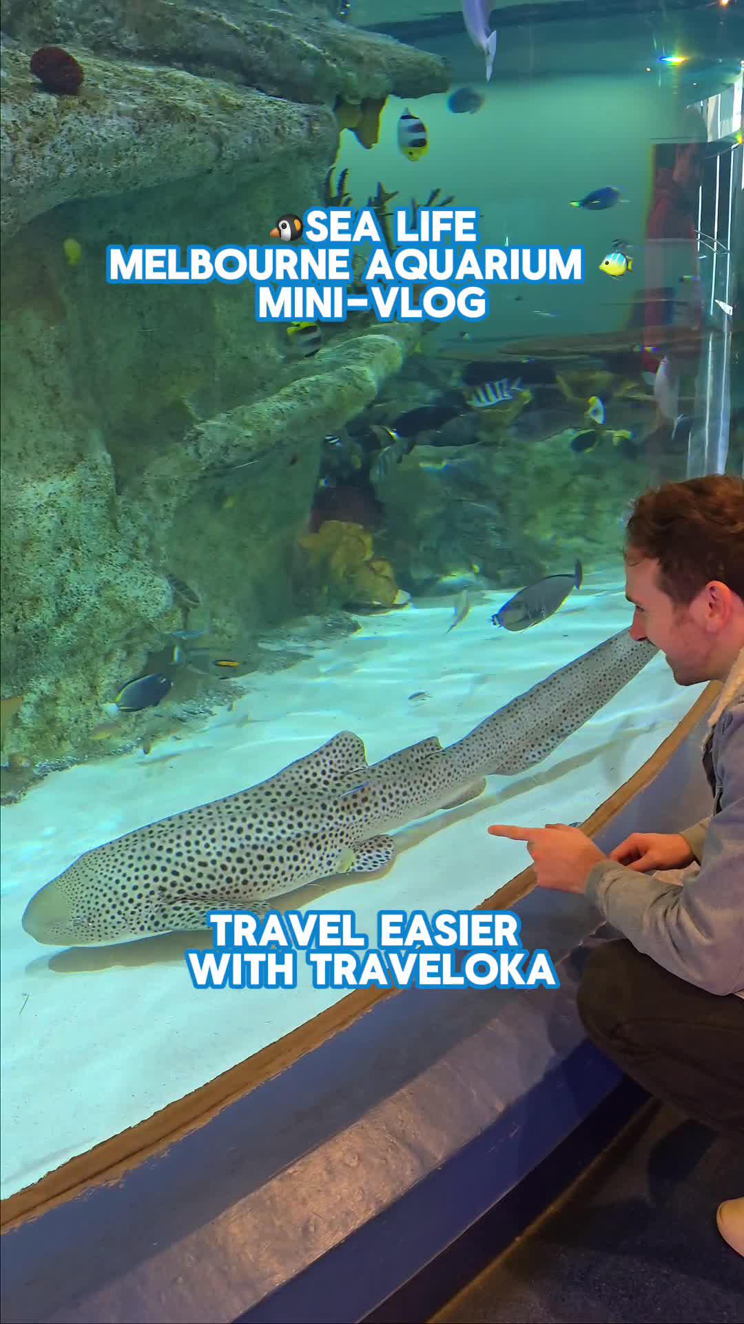 Traveloka Winter Sale, get discounts up to AUD 100 off.