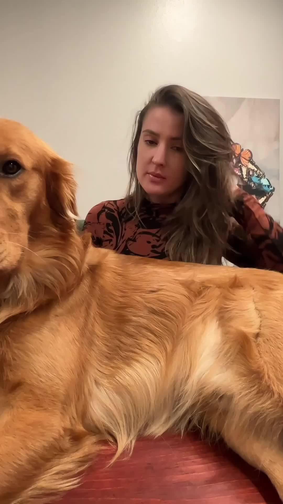 Bored? Play blackjack