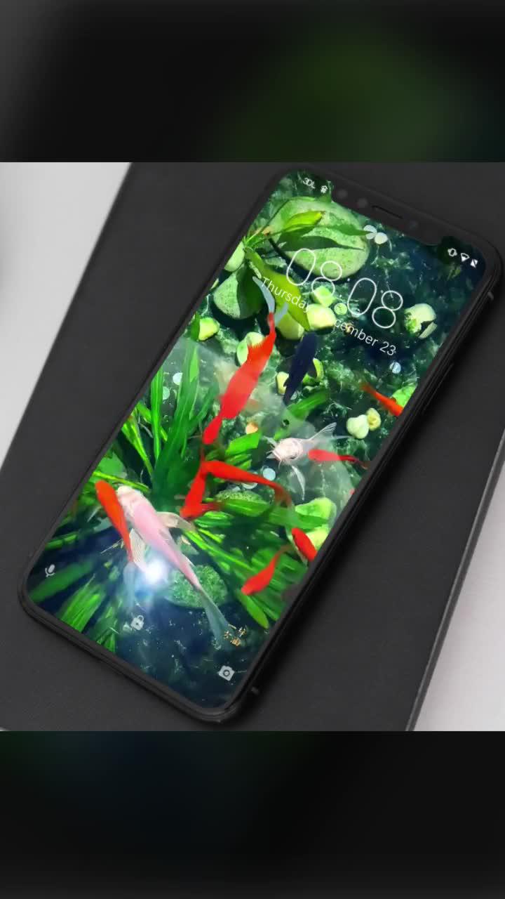 live wallpaper