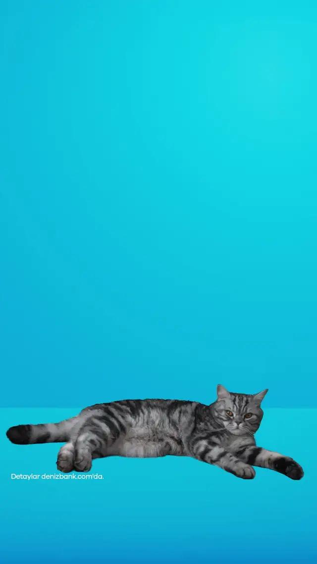 MobilDeniz’den Vadeli Mevduat Hesabınızı açın, %53'e varan hoş geldin faizini kaçırmayın!