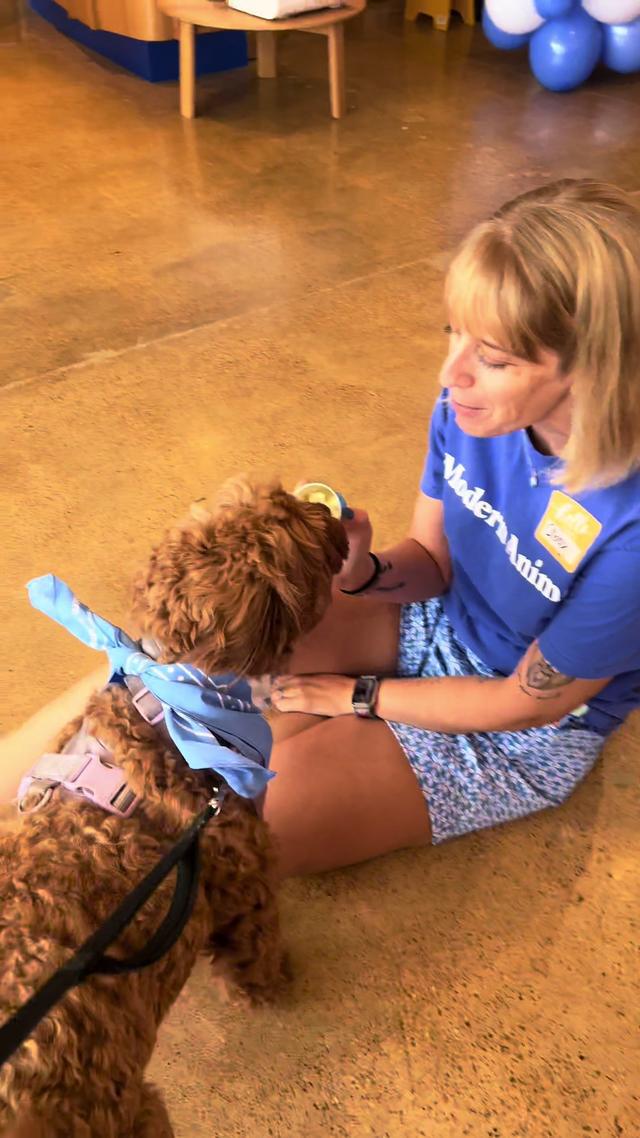 Use code DALHOTSPOTS to get a FREE All Access annual membership! #dallashotspots #modernanimal #dallasvet #veterinarian #dallas 