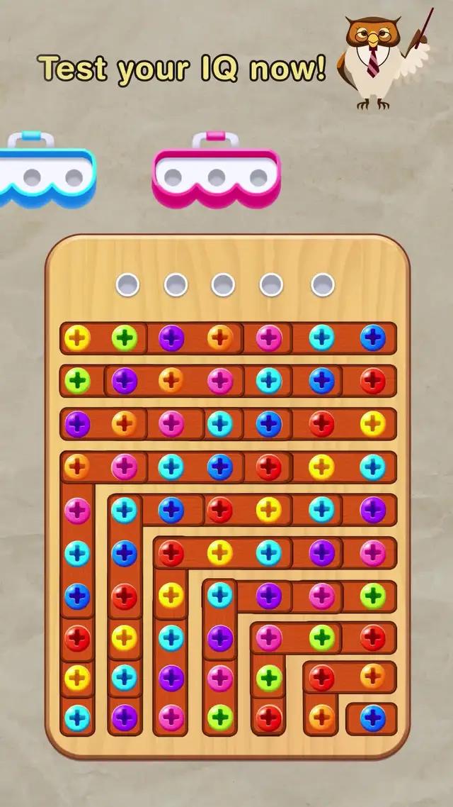 Put your IQ to the test!