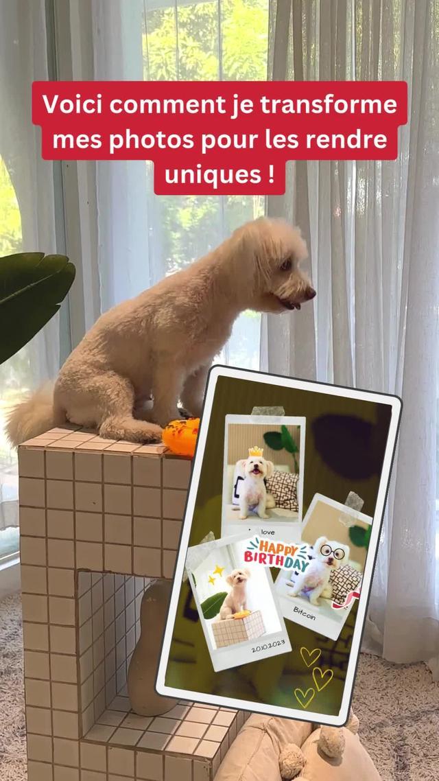 Le meilleur éditeur photo pour vos retouches. Téléchargez l’appli Canva gratuitement.