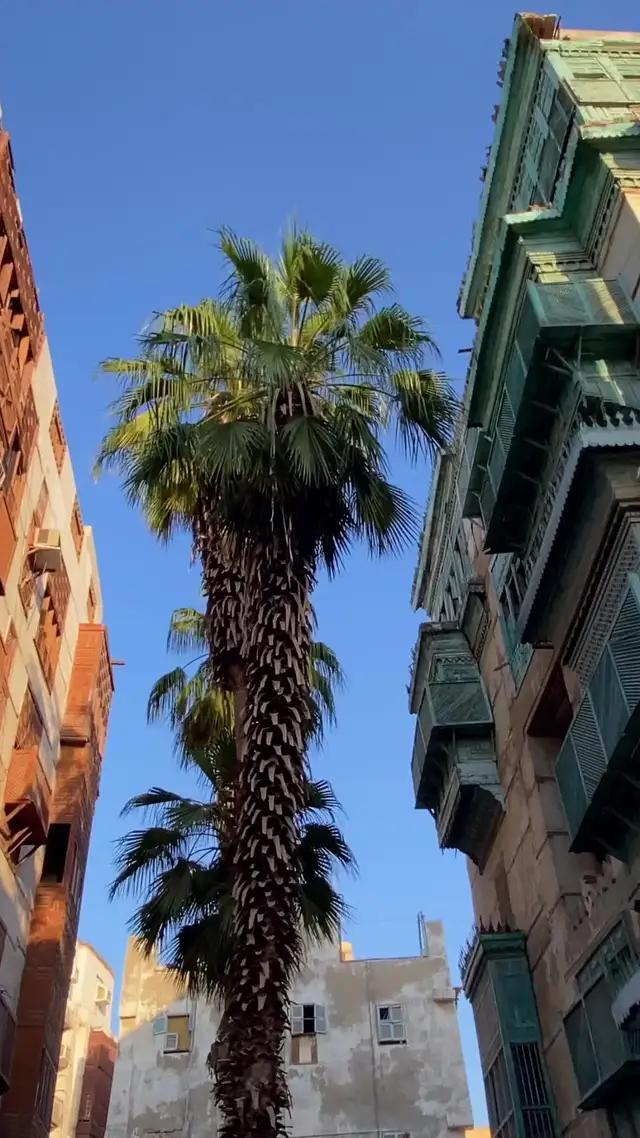 بين الجبال ولا وسط البحرصيفك مثل ما تبي بخصم حتى 500 ريال باستخدام كود "SMR24"احجز الحين 