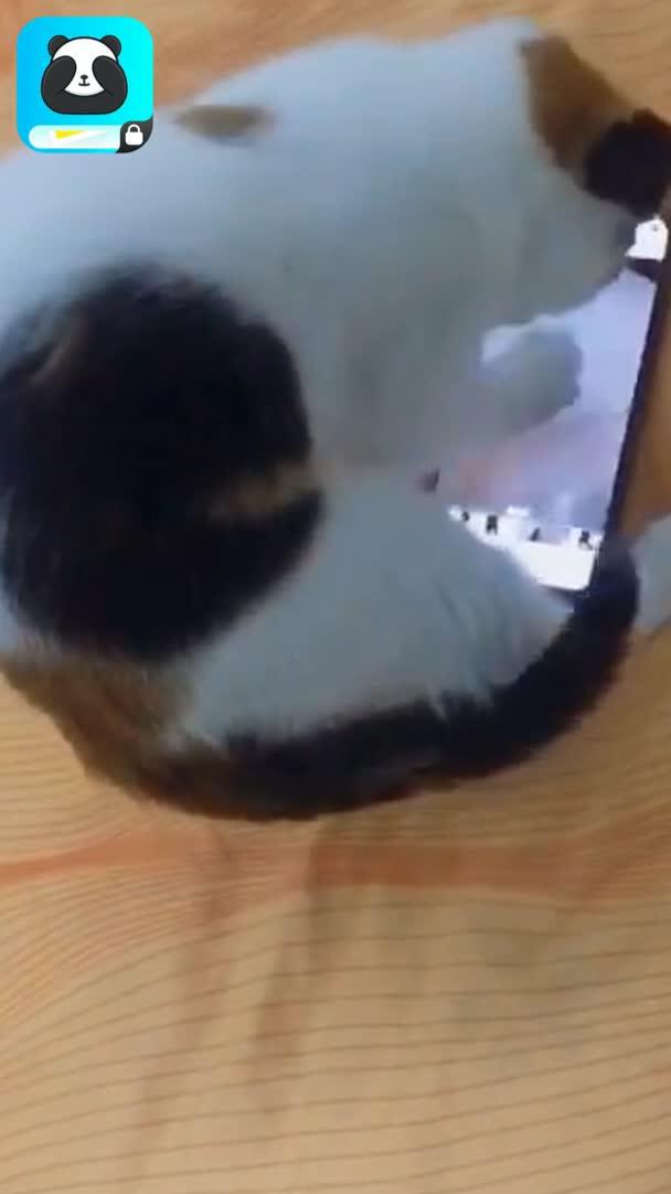 Help you hide private photos and videos from the system album