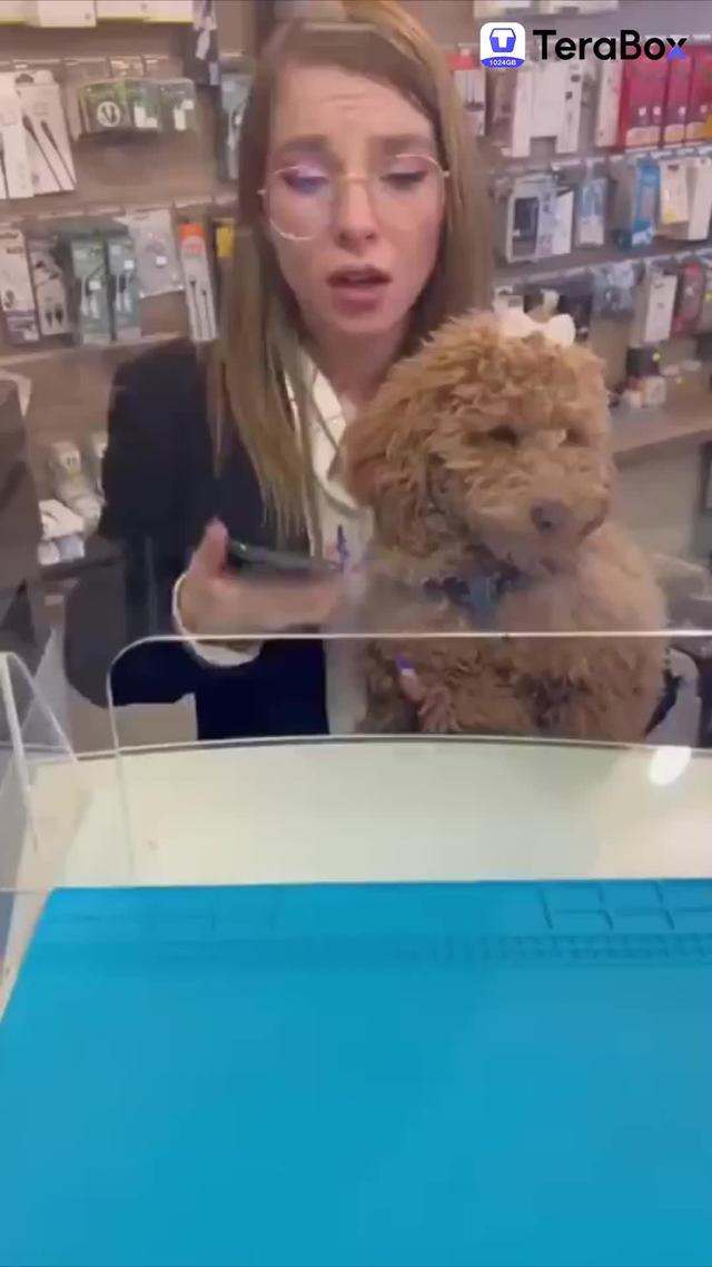 TeraBox gives user 1TB of storage space for free