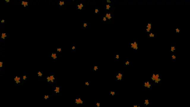 Game nhảy dành cho giới trẻ- bùng nổ cảm xúc tuổi 18