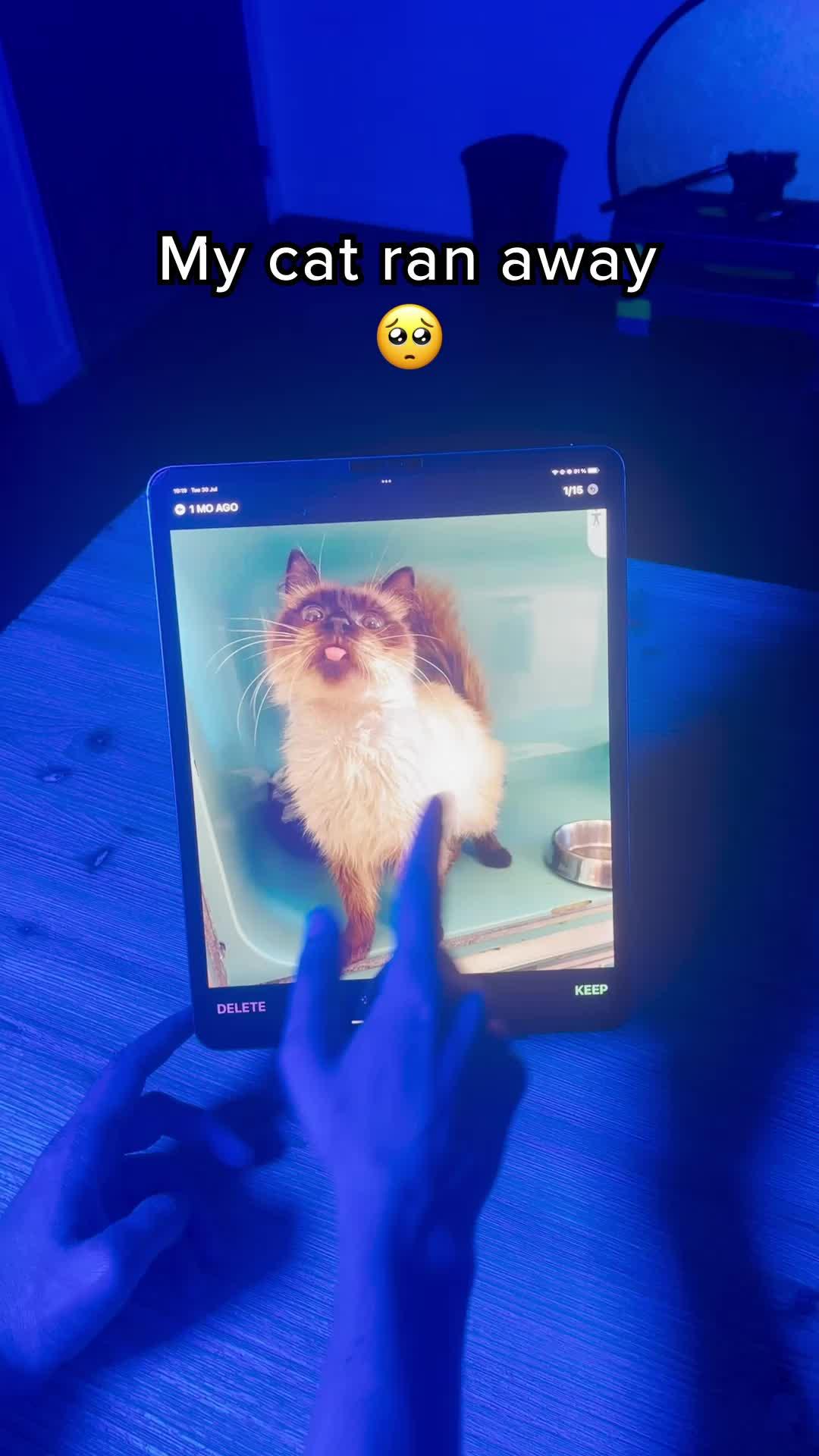 #fyp #swipewipe #cameraroll #springclean #phonehacks #camerarollswipe #iphonestorage