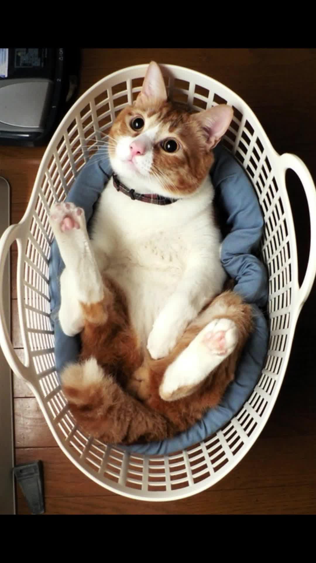 Make movie post for them