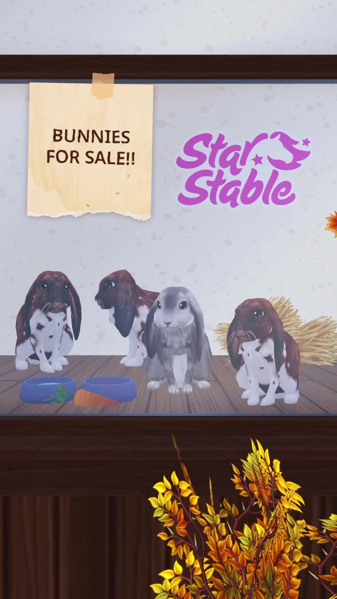 The Biggest Horse Game Online!