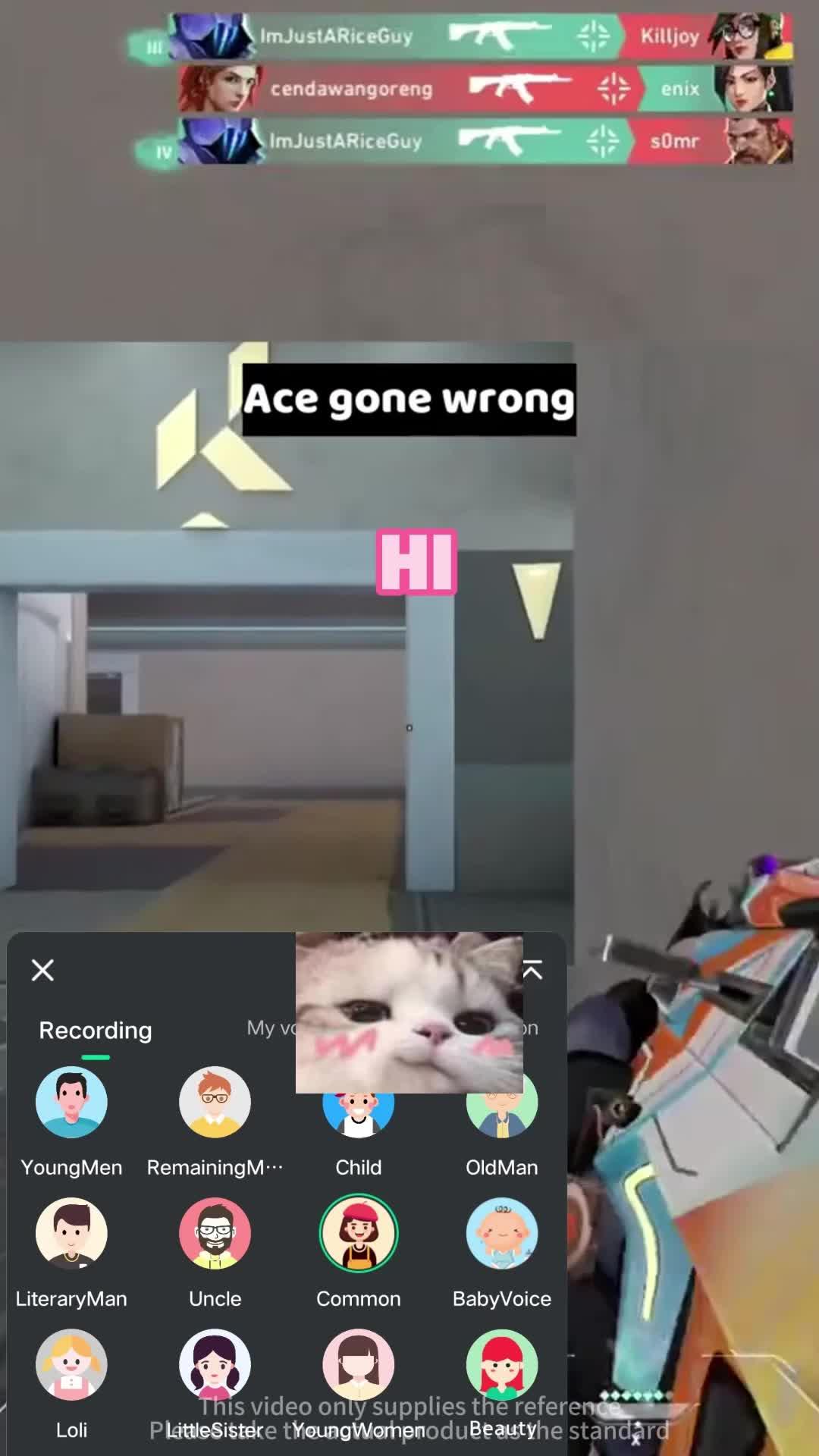 Voice changer that can be used for chatting, singing and playing games