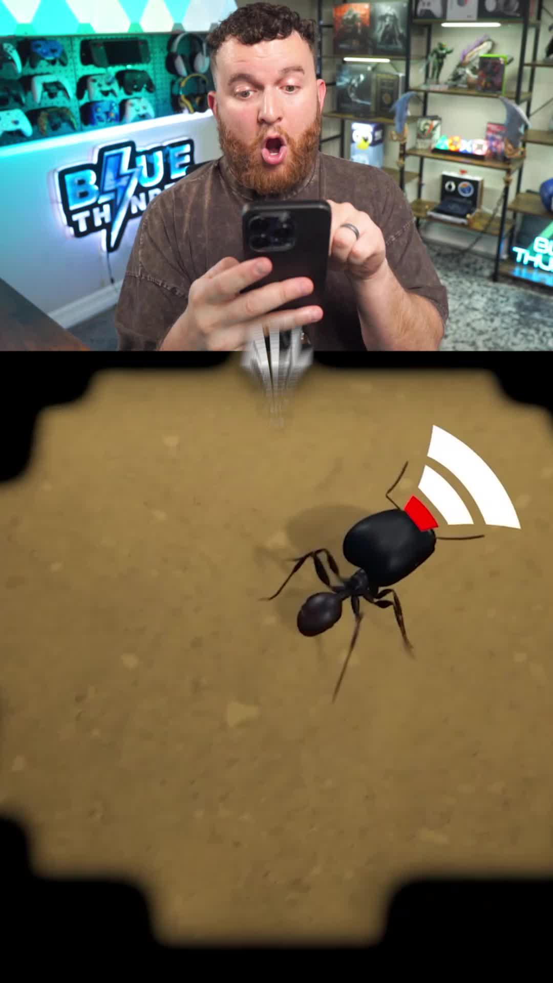 Ants are really cool creatures!!