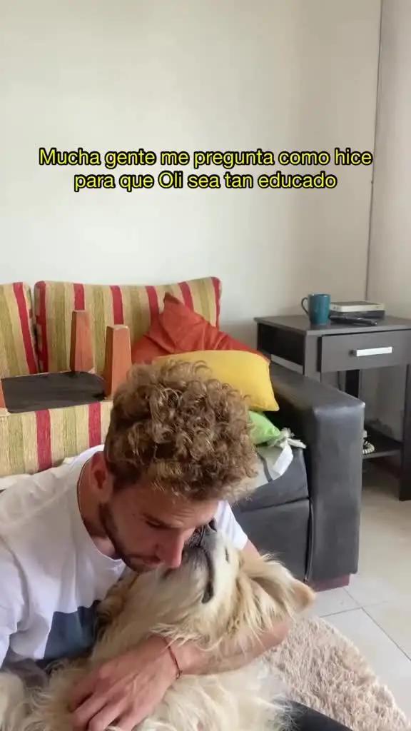 Aplicación №1 para perros y cachorros, creada por los mejores expertos caninos!